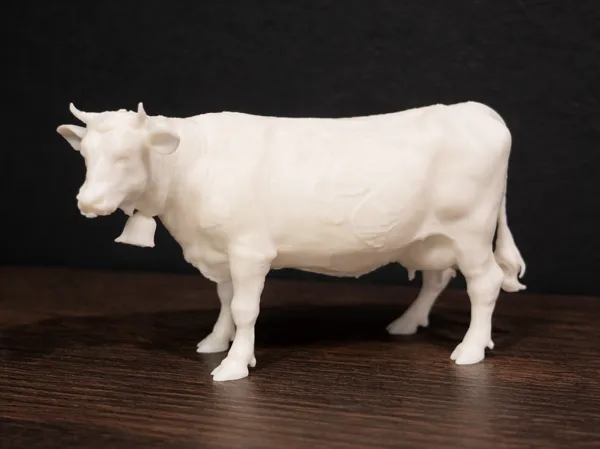 https://makerworld.bblmw.com/makerworld/model/US8005665ed383f0/design/8c8e003220d32853.png