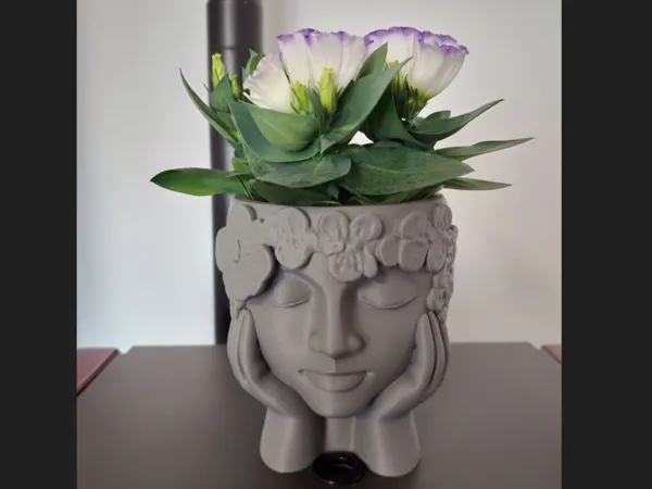 https://makerworld.bblmw.com/makerworld/model/US8008ffe0f8dad/design/2025-07-13_321fef2f601fb8.jpg