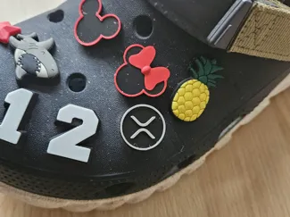 mini encanto para croc