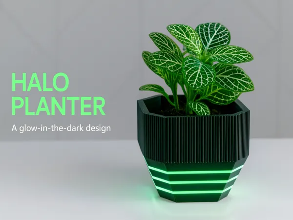 https://makerworld.bblmw.com/makerworld/model/US800b89bacd287a/design/2025-09-27_f0f25990920338.png