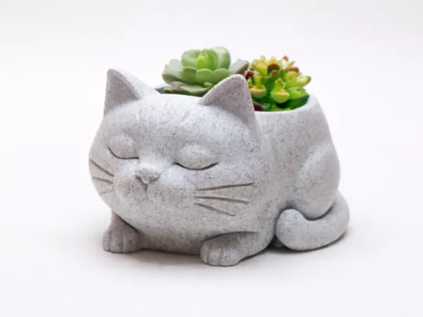 https://makerworld.bblmw.com/makerworld/model/US800c5e28e7fafb/design/3fa6ae9fa706c471.png