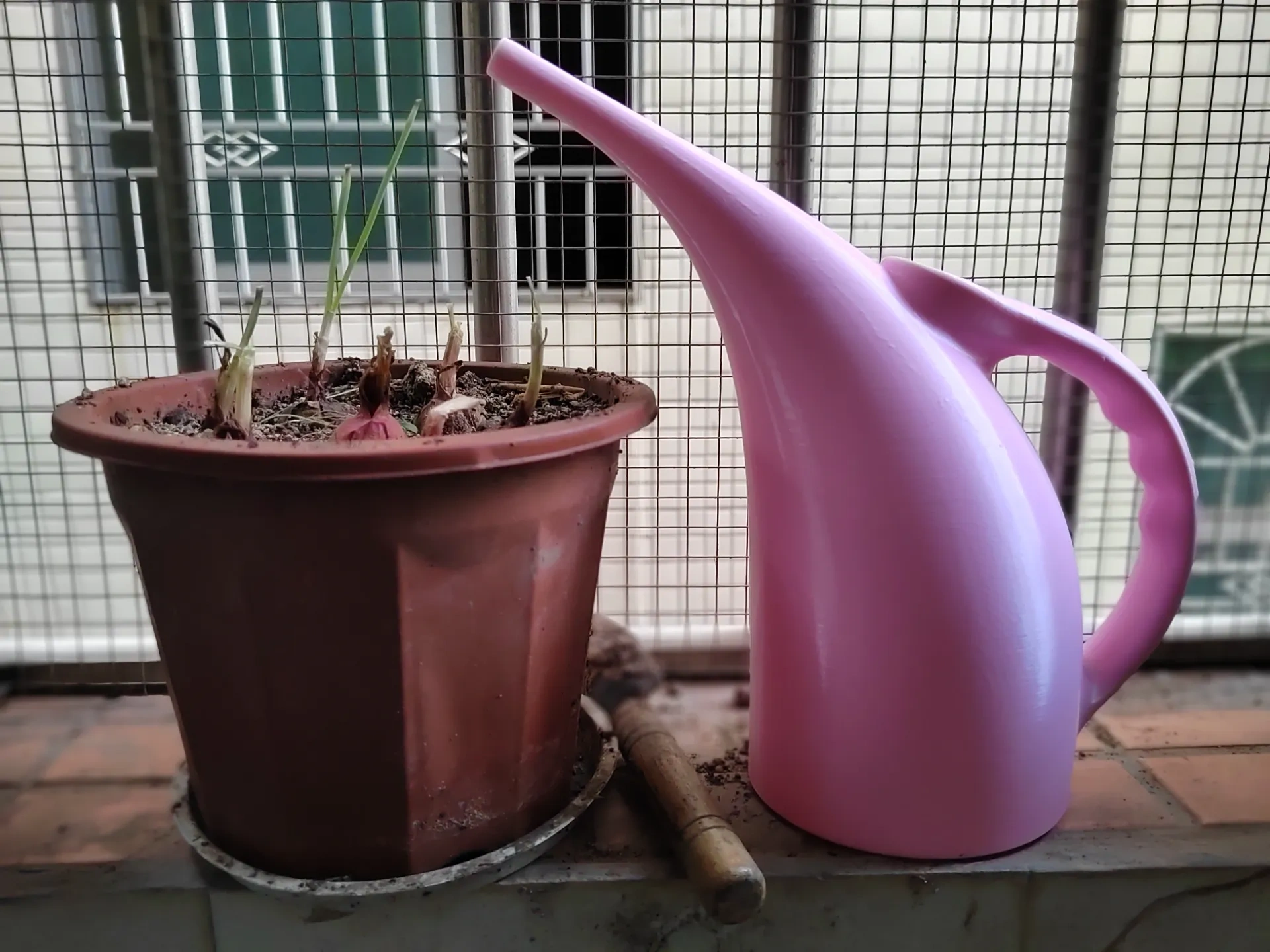 长嘴洒水壶