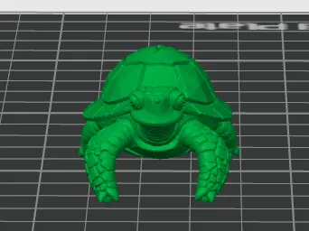 turtle 