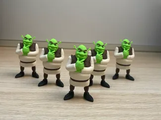 Shrek multi-color (AMS)