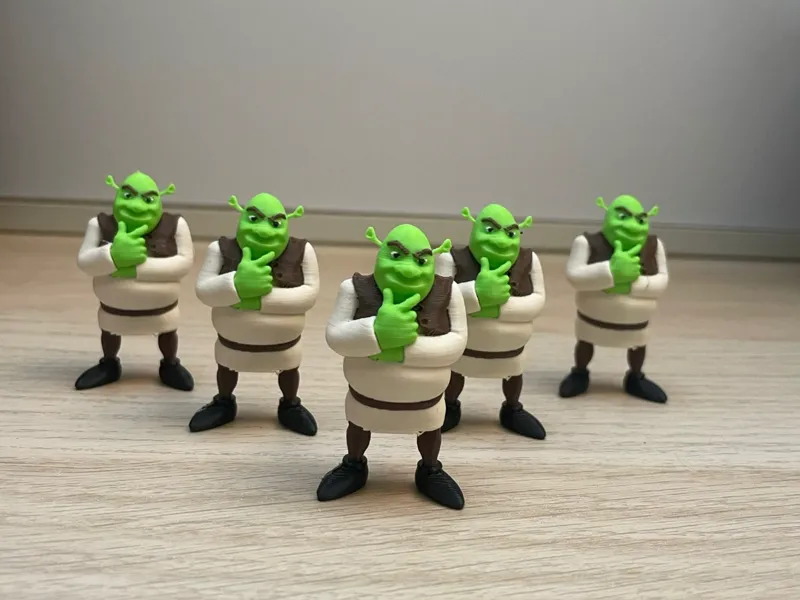 Shrek multi-color (AMS)