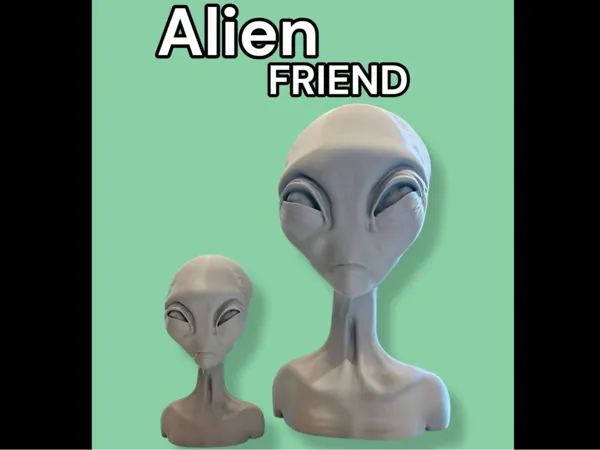 https://makerworld.bblmw.com/makerworld/model/US800fd99966f394/design/2025-05-19_d9b02fe4fe8048.jpg