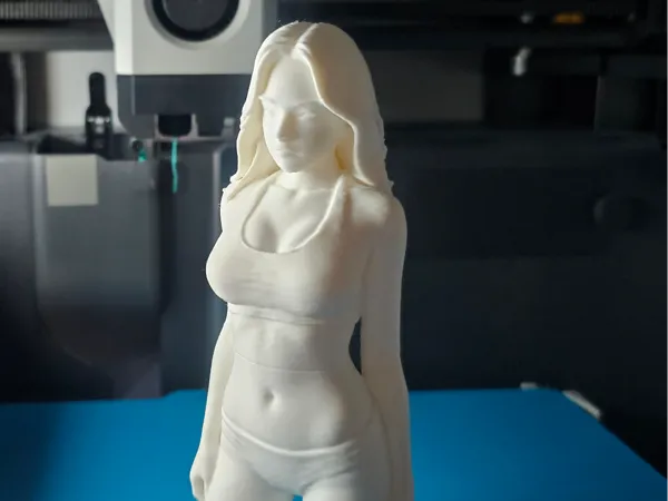 https://makerworld.bblmw.com/makerworld/model/US8010805e3c1cb3/design/2025-12-21_ce917f1fa7ff8.jpg