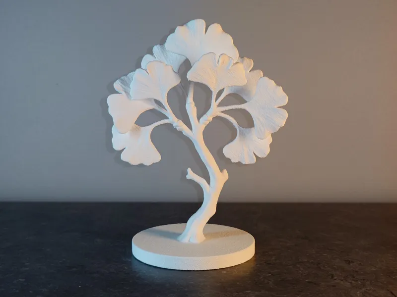 Bonsaï Ginkgo Biloba