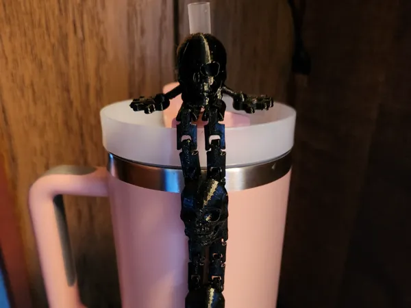 https://makerworld.bblmw.com/makerworld/model/US8017d9a21ace7f/design/2025-02-02_d316a51973ac7.jpg