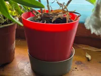 Pot a orchidee avec coupelle — photo 2