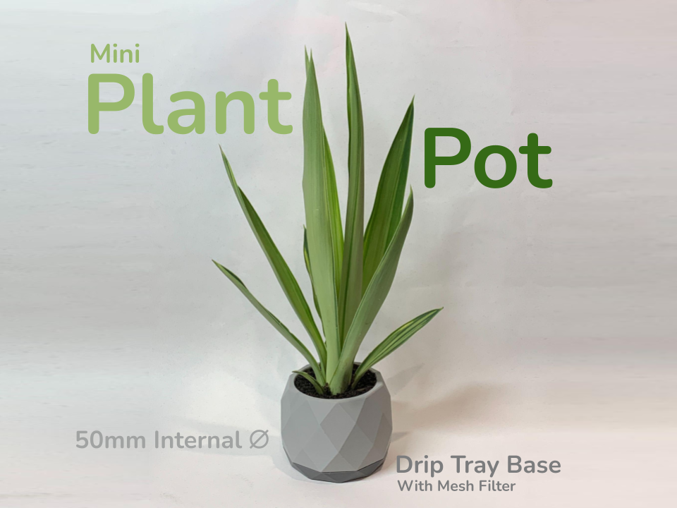 Mini Plant Pot