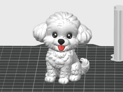 Cute Little Bichon Frise