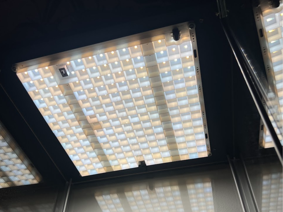 LED Grow Light Director Grid, efuser