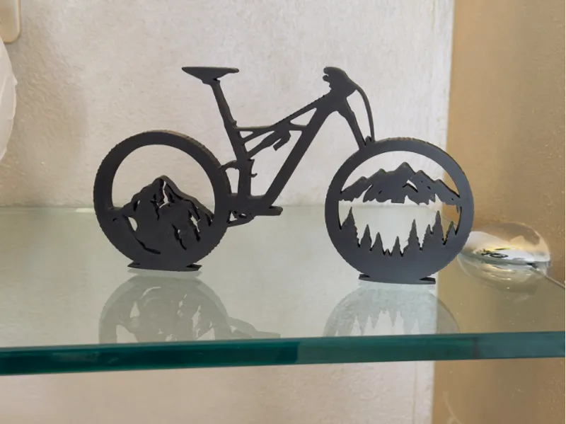 MTB ORGANAIZER