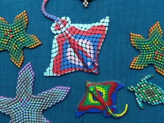 Eddie The Eagle Ray Flexi