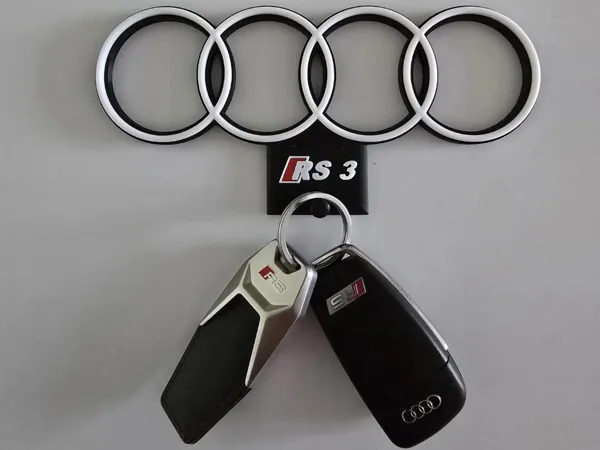 https://makerworld.bblmw.com/makerworld/model/US802f2e264bf24a/design/2024-12-25_db1b89842fd98.jpg