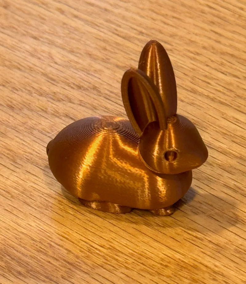 Small Bunny