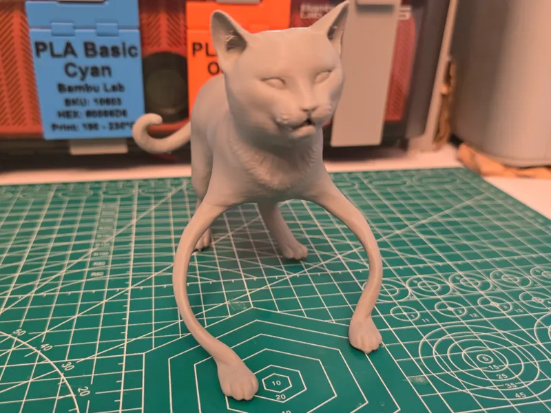 Wonky Cat