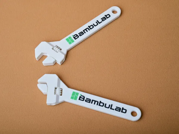 https://makerworld.bblmw.com/makerworld/model/US804164b64c3180/design/e75bfbd77669a1e9.jpg