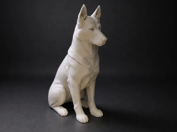 https://makerworld.bblmw.com/makerworld/model/US8042a5afc3787b/design/74b2ec62ed45fc22.png