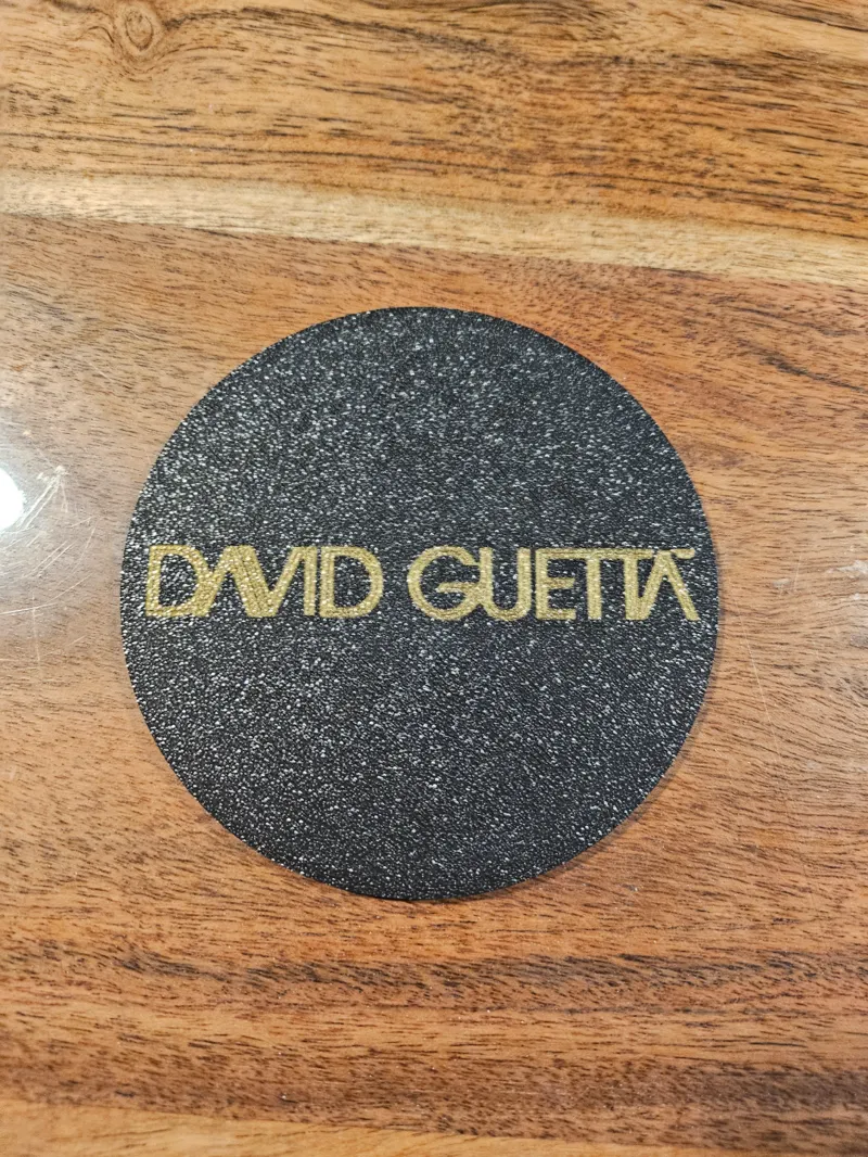 David Guetta Coaster: Tribute to Legends!