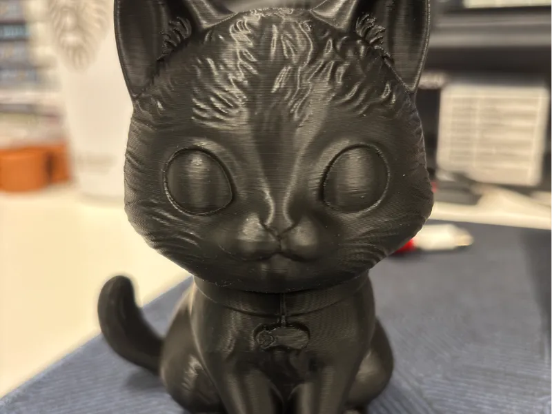 Black Cat