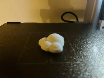 Cat Paw