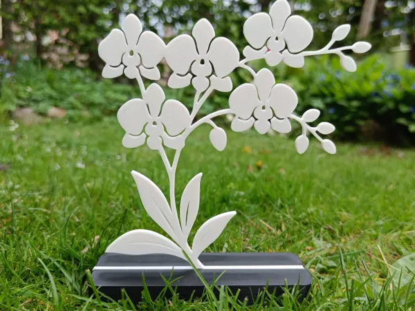 https://makerworld.bblmw.com/makerworld/model/US804856c9faa07a/design/2025-04-19_a5910a559c093.jpg