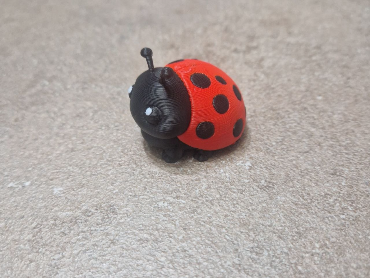 cute lucky ladybug