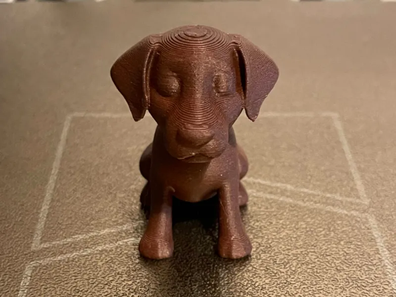 Labrador