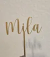 A1 mini 0.2mm layer, 2 walls, 100% infill