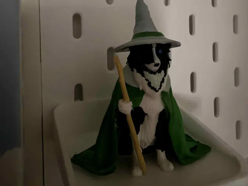 Wizzard Dog