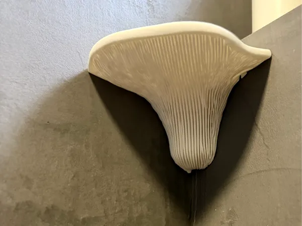 https://makerworld.bblmw.com/makerworld/model/US80546dafdc3d6f/design/2025-12-17_6052d94c6d2c18.jpeg