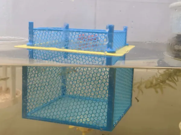 https://makerworld.bblmw.com/makerworld/model/US805c0768f0b9b1/design/6c48421dddcd742d.jpg