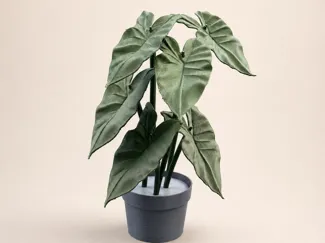 Realistic Alocasia Plant – Easy Assembly Decor
