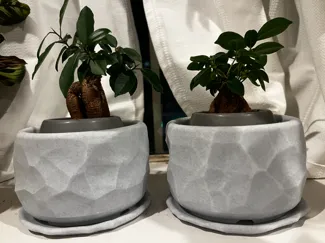 Stone Planter