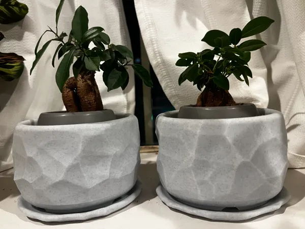 https://makerworld.bblmw.com/makerworld/model/US805d3a729a72f6/design/2025-02-09_7421bffbced65.jpg
