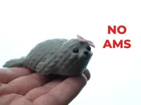 no ams