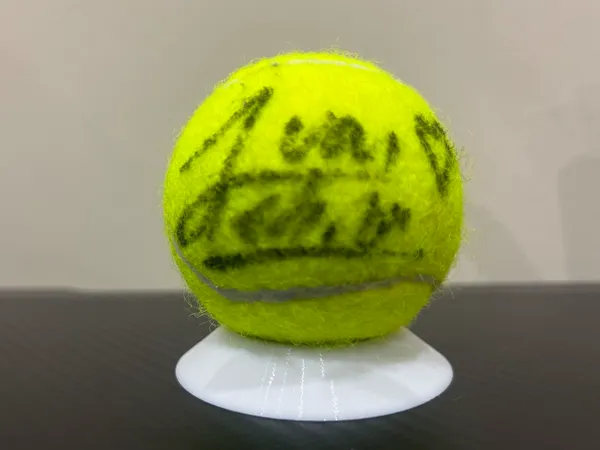 https://makerworld.bblmw.com/makerworld/model/US8063ce837b72c2/design/2025-09-14_b2e25db97c6248.jpg