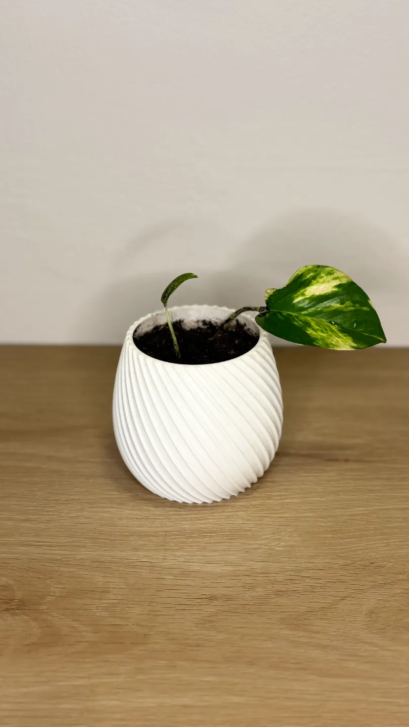 Spiral flower pot view 4