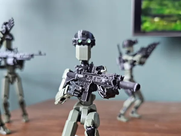https://makerworld.bblmw.com/makerworld/model/US806567950b06f1/design/2025-01-13_fec190504a542.jpg
