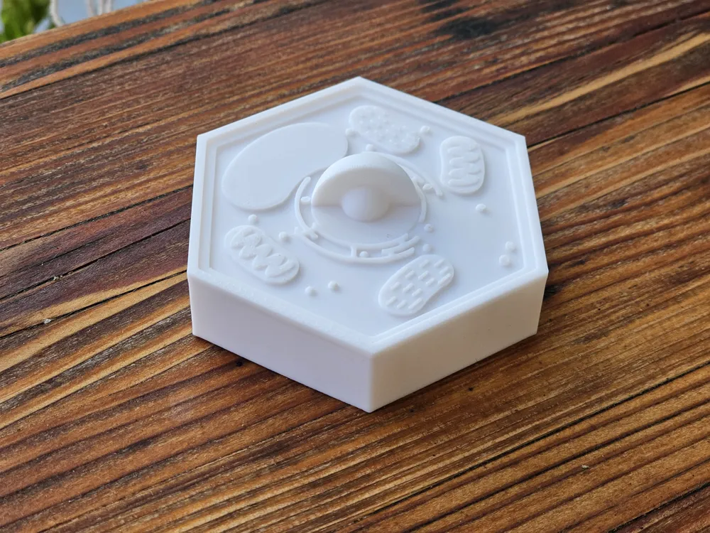 Plant Cell Model | "Accurate" Plant Cell Structure - Free 3D Print ...