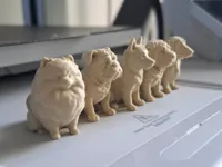 0.16mm layer, 2 walls, 15% infill