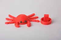 0.16mm layer, 3 walls, 10% infill