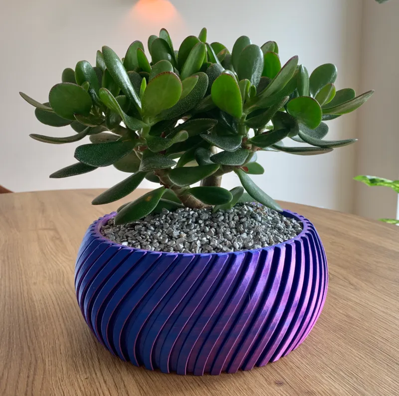 Plant spiral pot (low-profile)