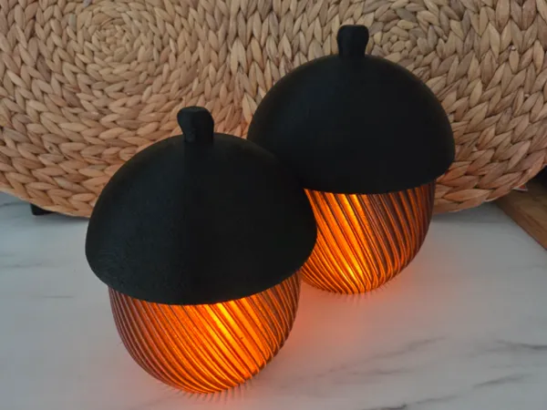 https://makerworld.bblmw.com/makerworld/model/US807940f1f7cdba/design/2025-11-20_d43c896dc2abf8.jpg