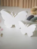 Papillons décoratifs — photo 4