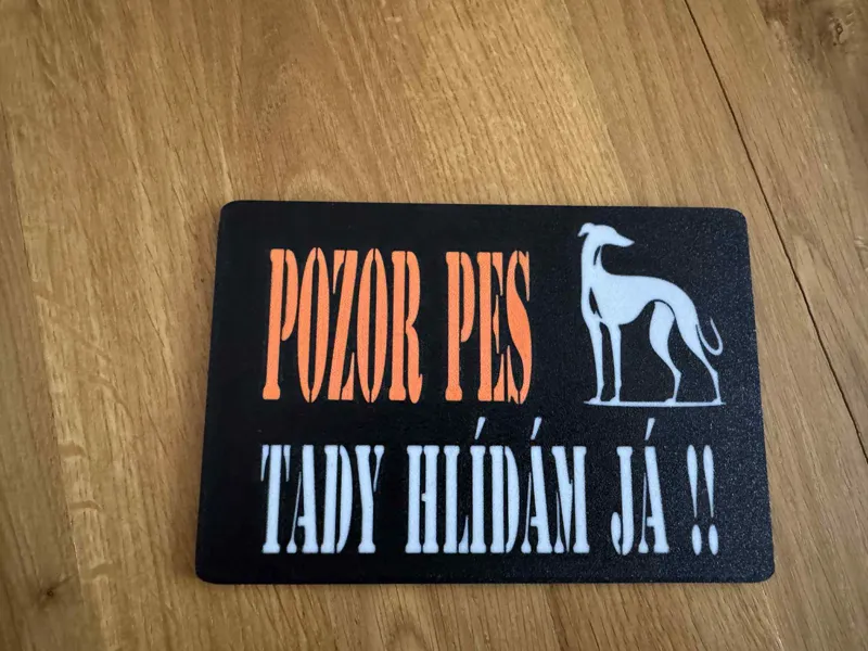 Pozor pes chrt