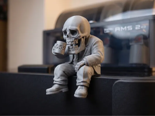 https://makerworld.bblmw.com/makerworld/model/US808231dbcb74f1/design/287178d88dc210ef.png