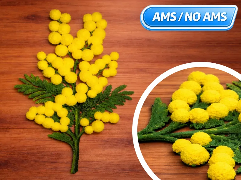 Mimosa (with 3D Flowers) – Women’s Day  - March 8